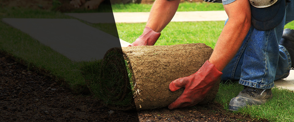 Lake Hiawatha Landscapers